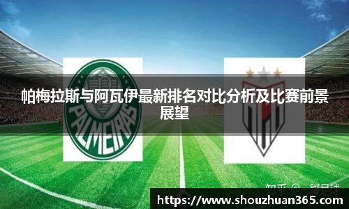 帕梅拉斯与阿瓦伊最新排名对比分析及比赛前景展望